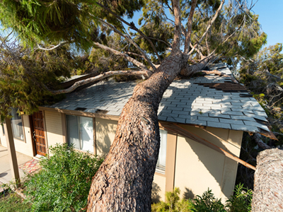 Storm Damage